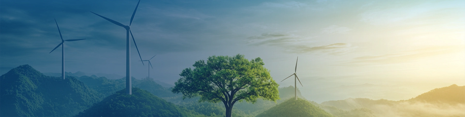 Technological Innovation